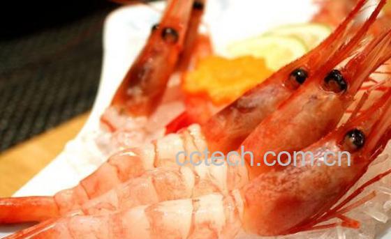 甜虾的功效与作用 甜虾怎么吃-1