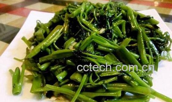 藤菜怎么做好吃 藤菜的家常做法-0