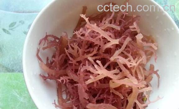 血珊瑚草怎么吃 血珊瑚草的做法教程-0