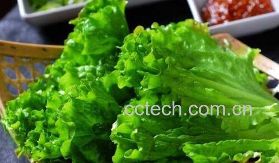 生菜有哪三大禁忌-1