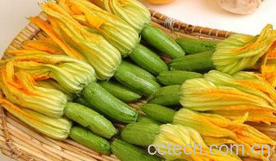 南瓜花的功效与作用及禁忌-0