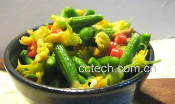 小黄瓜花的功效与作用-0