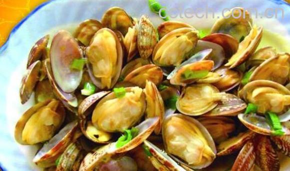 文蛤的功效与作用 吃文蛤的好处有哪些-1