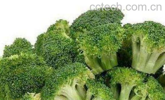 西兰苔和西兰花的区别 西兰苔的吃法-0