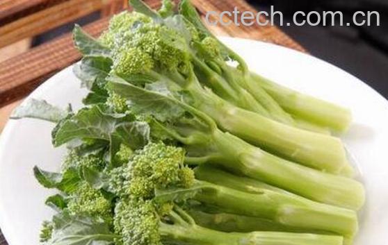 西兰苔和西兰花的区别 西兰苔的吃法-1