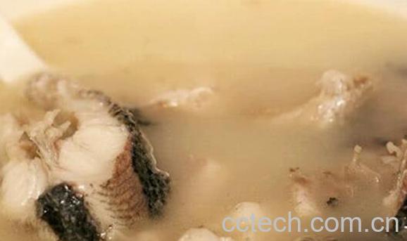 乌鱼的功效与作用 乌鱼怎么做好吃-1