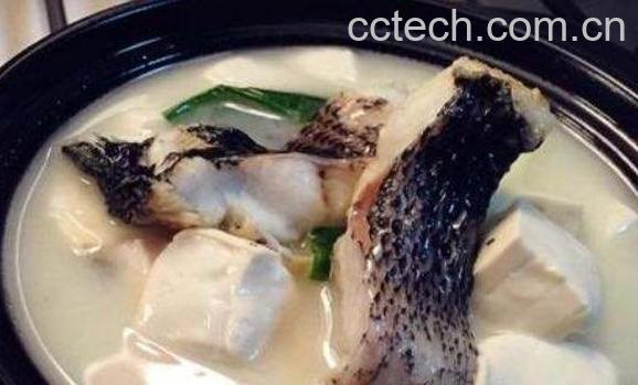 乌鱼的功效与作用 乌鱼怎么做好吃-0