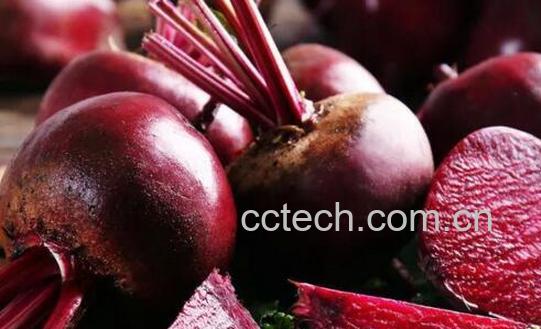 红芥菜怎么做好吃 红芥菜的食用方法-0