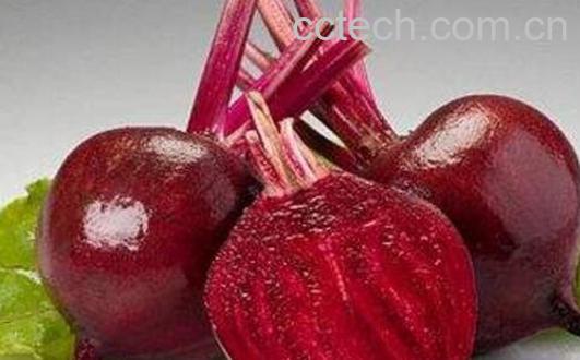 红芥菜怎么做好吃 红芥菜的食用方法-1