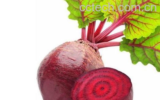 红芥菜的功效与作用 吃红芥菜的好处有哪些-1