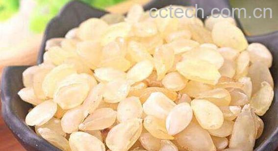 雪莲籽的功效与作用 雪莲籽的药用价值及副作用-0