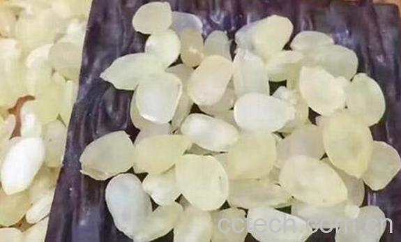 雪莲籽的功效与作用 雪莲籽的药用价值及副作用-1