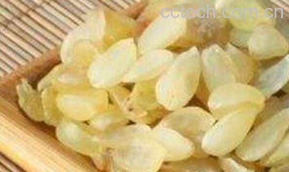 雪莲子酵素的功效与作用-0