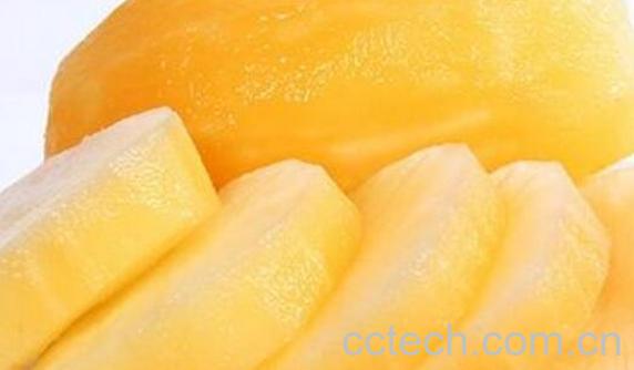 雪莲果的作用与功效 吃雪莲果的禁忌-1