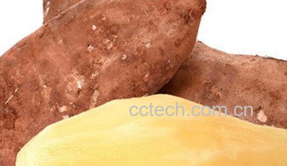 雪莲果的作用与功效 吃雪莲果的禁忌-0