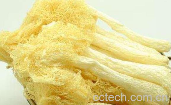 干竹荪的做法与禁忌-0