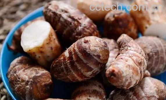 吃香芋的好处-1