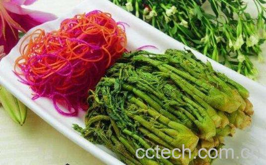 刺老芽怎么吃 刺老芽的食用方法-0