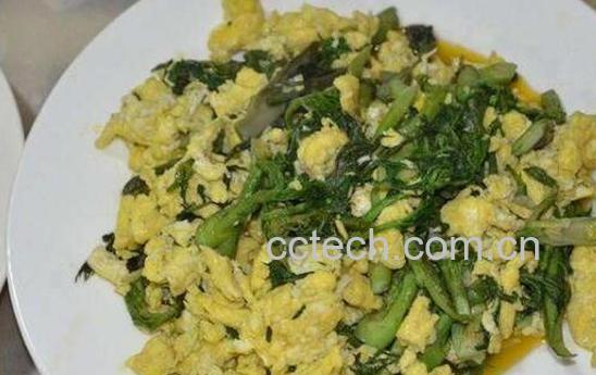 刺老芽怎么吃 刺老芽的食用方法-1