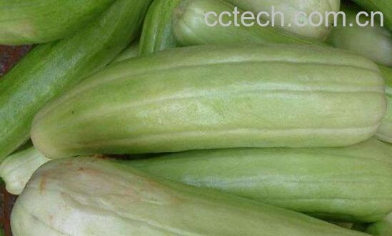 越瓜的功效与作用 越瓜怎么吃-0