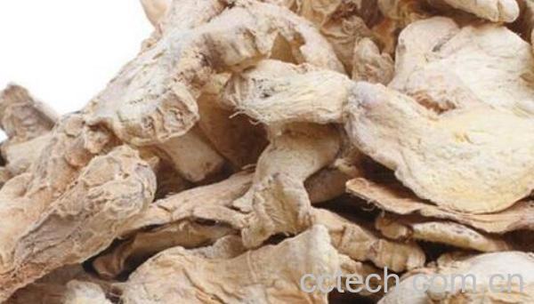  干姜如何长期保存 大量生姜如何保存不烂-0