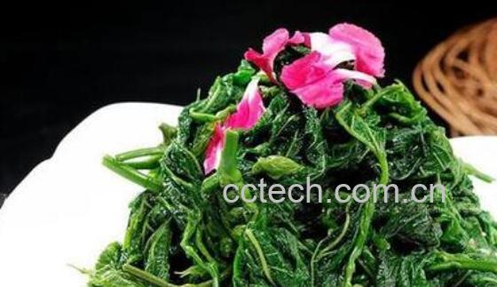 桑芽菜的功效与作用-0