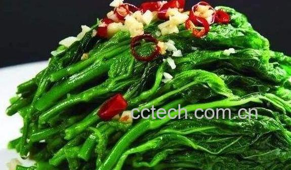 桑芽菜的功效与作用-1