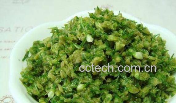 腌韭菜花的功效与作用 腌韭菜花吃多了有什么坏处-0