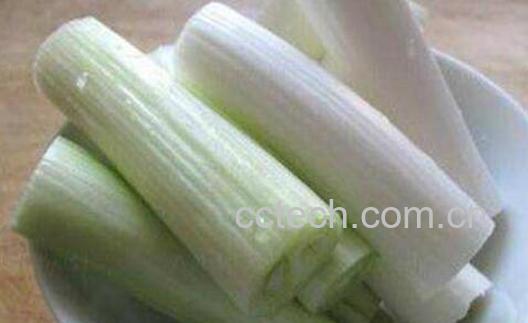 葱白的功效与作用及食用方法-0