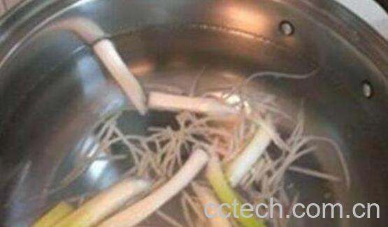 葱白水最正确的做法-1