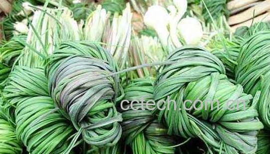 野葱怎么腌制好吃-1