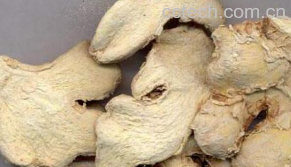 如何自制干盐姜 -1