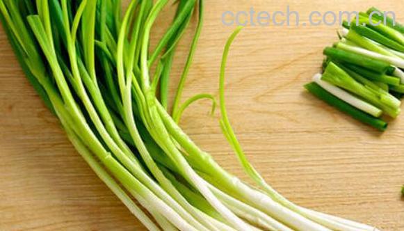 小葱的功效与作用及副作用-0