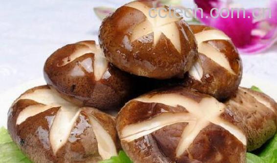 香菇与花菇的区别 吃香菇的好处-0