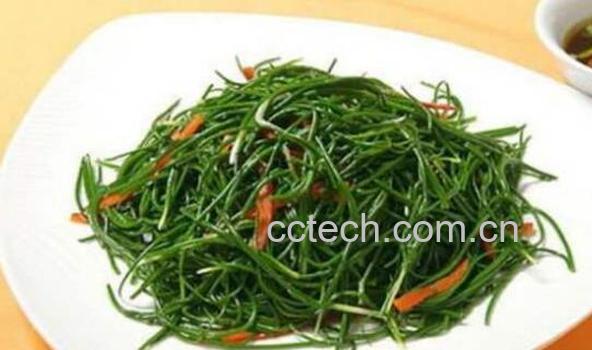 沙葱的功效与作用及禁忌-0