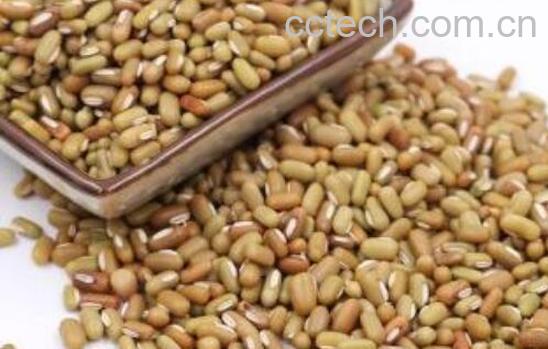 巴山豆的功效与作用 巴山豆的药用价值-0