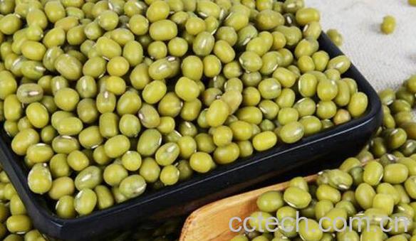 巴山豆和绿豆的区别 绿豆的功效-1