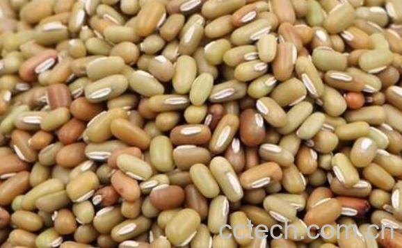 巴山豆和绿豆的区别 绿豆的功效-0