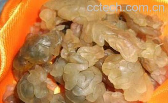 林蛙油泡酒的功效与作用-1