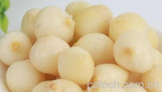 团葱的功效与作用-1