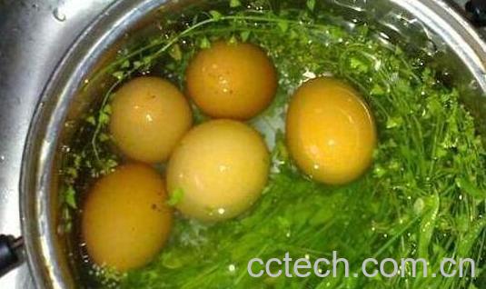 荠菜花煮鸡蛋的功效与作用-1