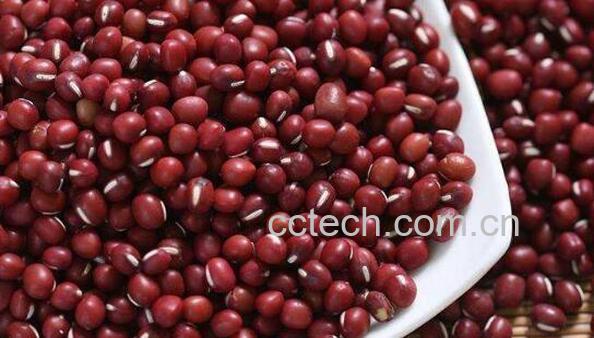 红小豆和赤小豆的区别-1