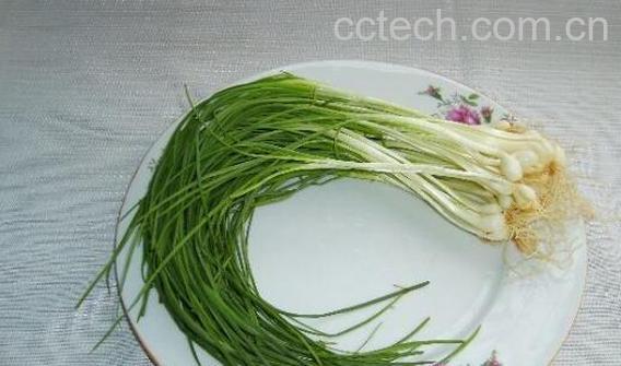 大脑瓜的作用和功效-0