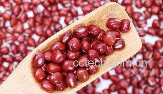 红小豆和红豆的区别 吃红小豆的好处-0