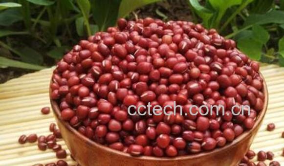 红小豆不能和什么一起吃 红小豆和什么食物相克-1