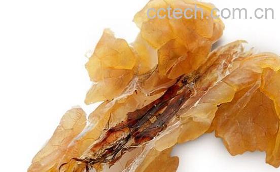 雪蛤干的功效与作用 吃雪蛤干的禁忌-1