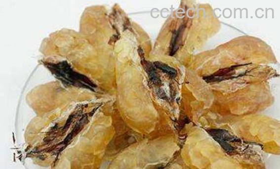 雪蛤干的功效与作用 吃雪蛤干的禁忌-0