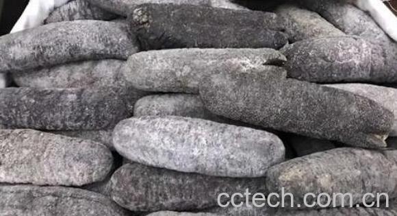 乌枣参的功效与作用-0