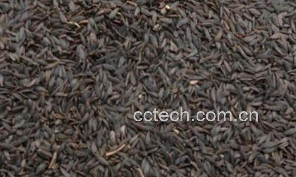 独行菜籽的功效与作用-1