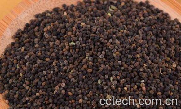 独行菜籽的功效与作用-0